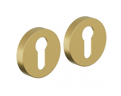 Накладка для замка AR-7CL SGold